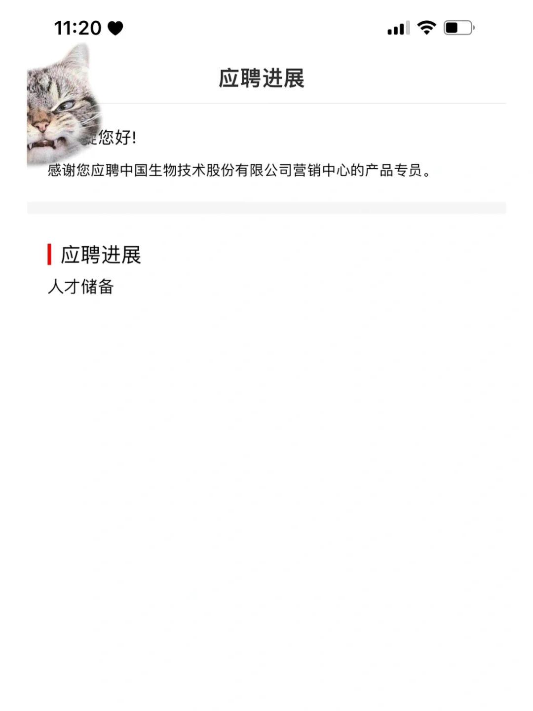 国聘人才储备