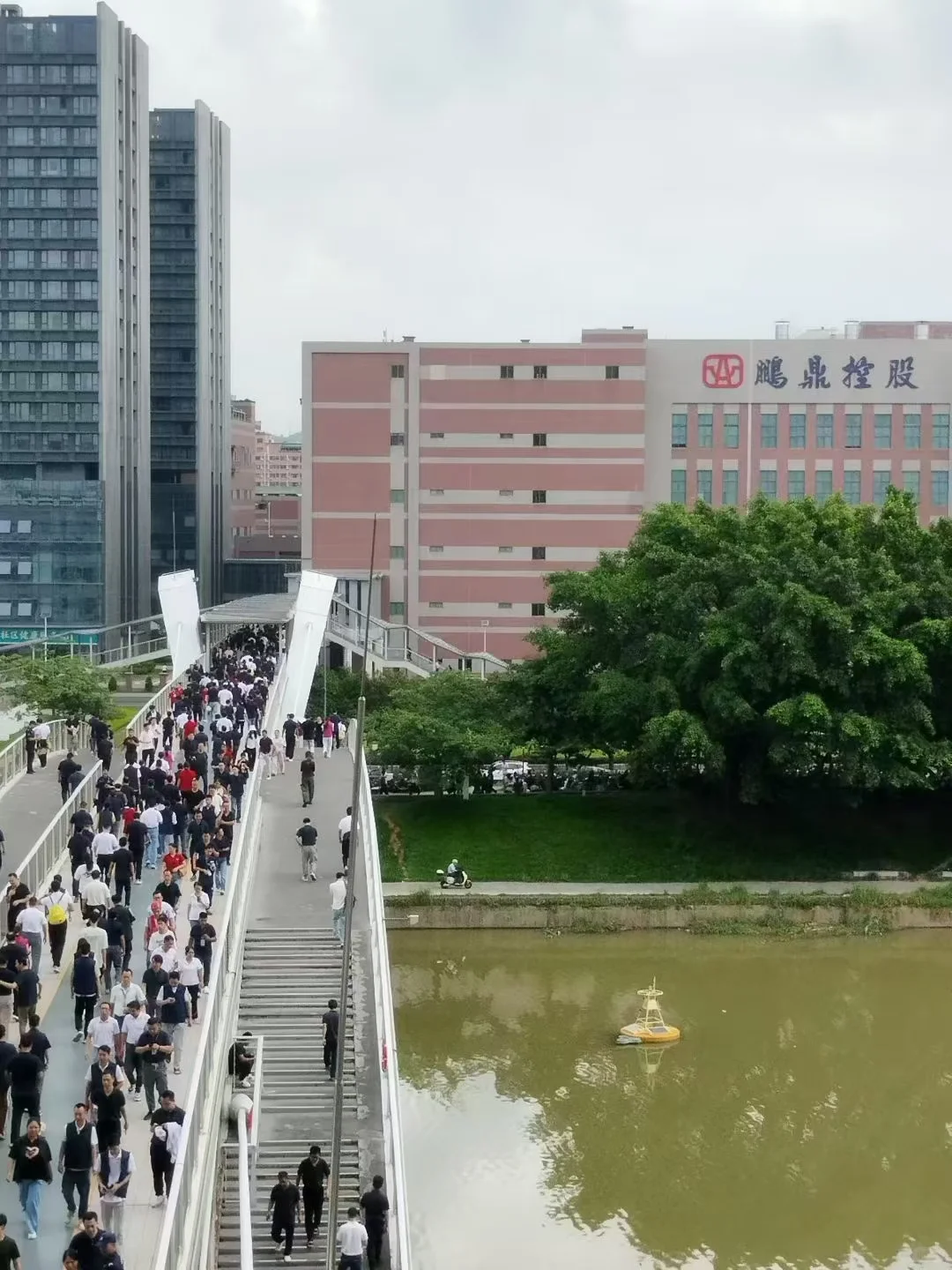 真诚找工作的看过来 内部直招内推
