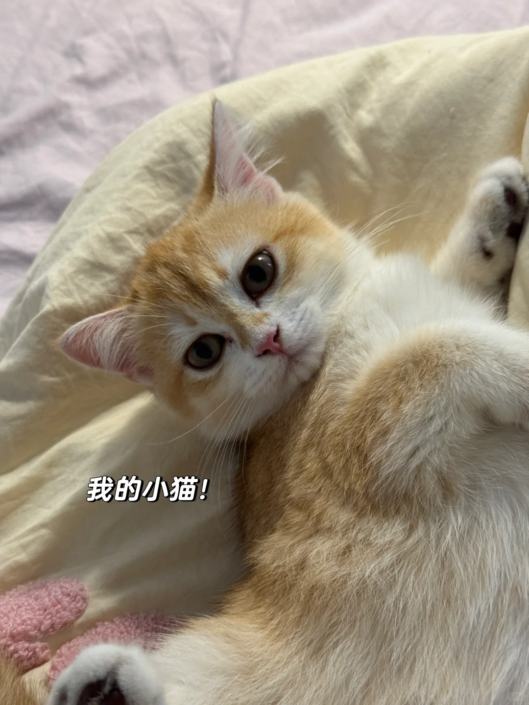 字节实习暂停｜🇲🇴UM读研DAY 1（🉑内推）