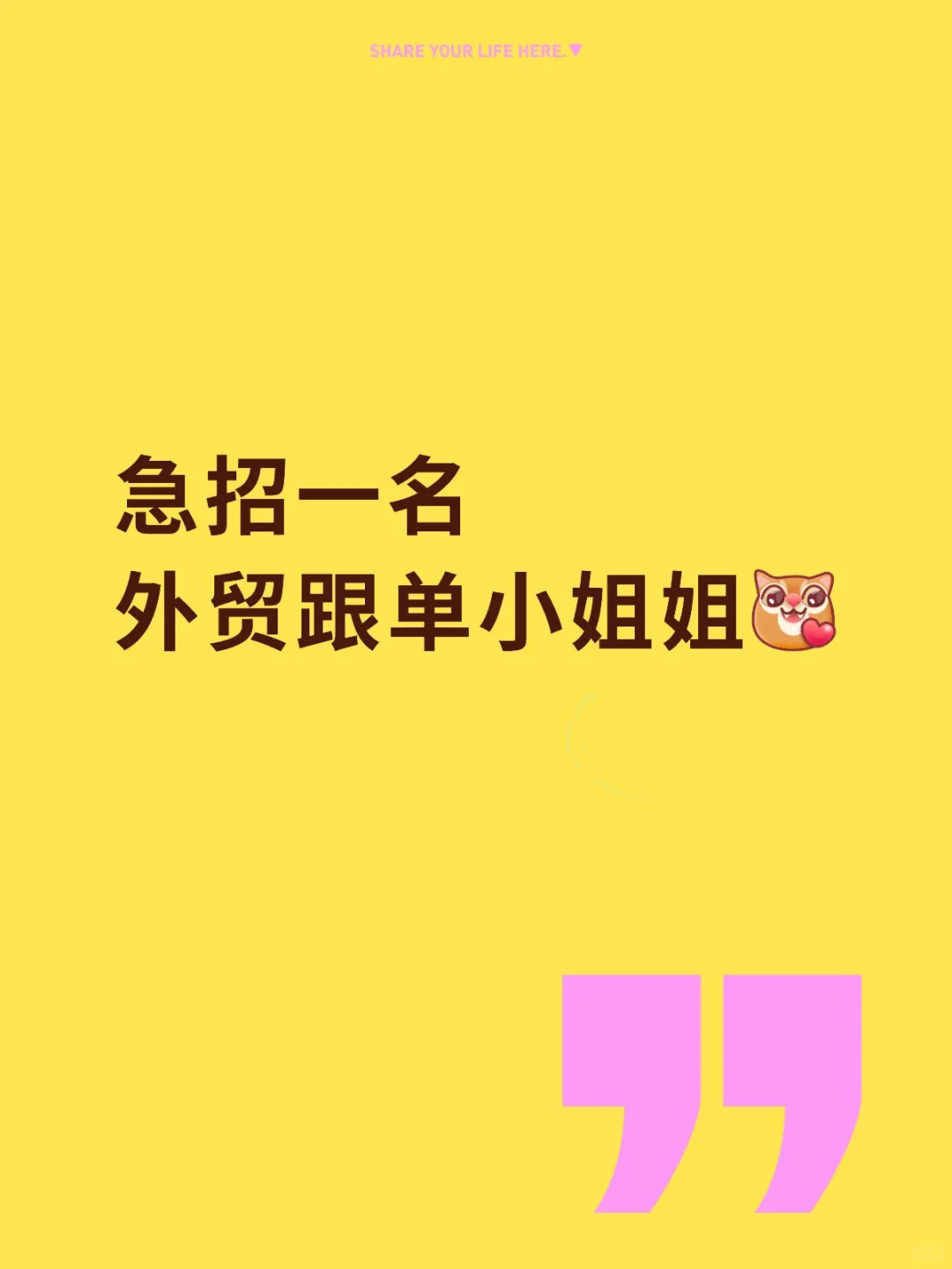 急招一外贸跟单小姐姐！