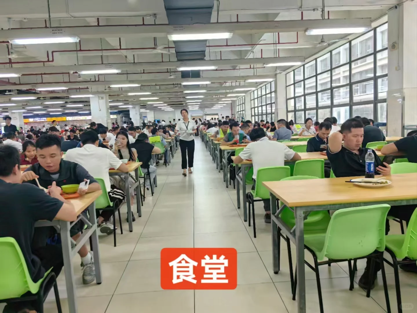 真诚找工作的看过来 内部直招内推