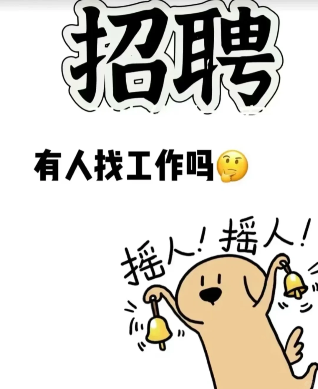 推一条招聘