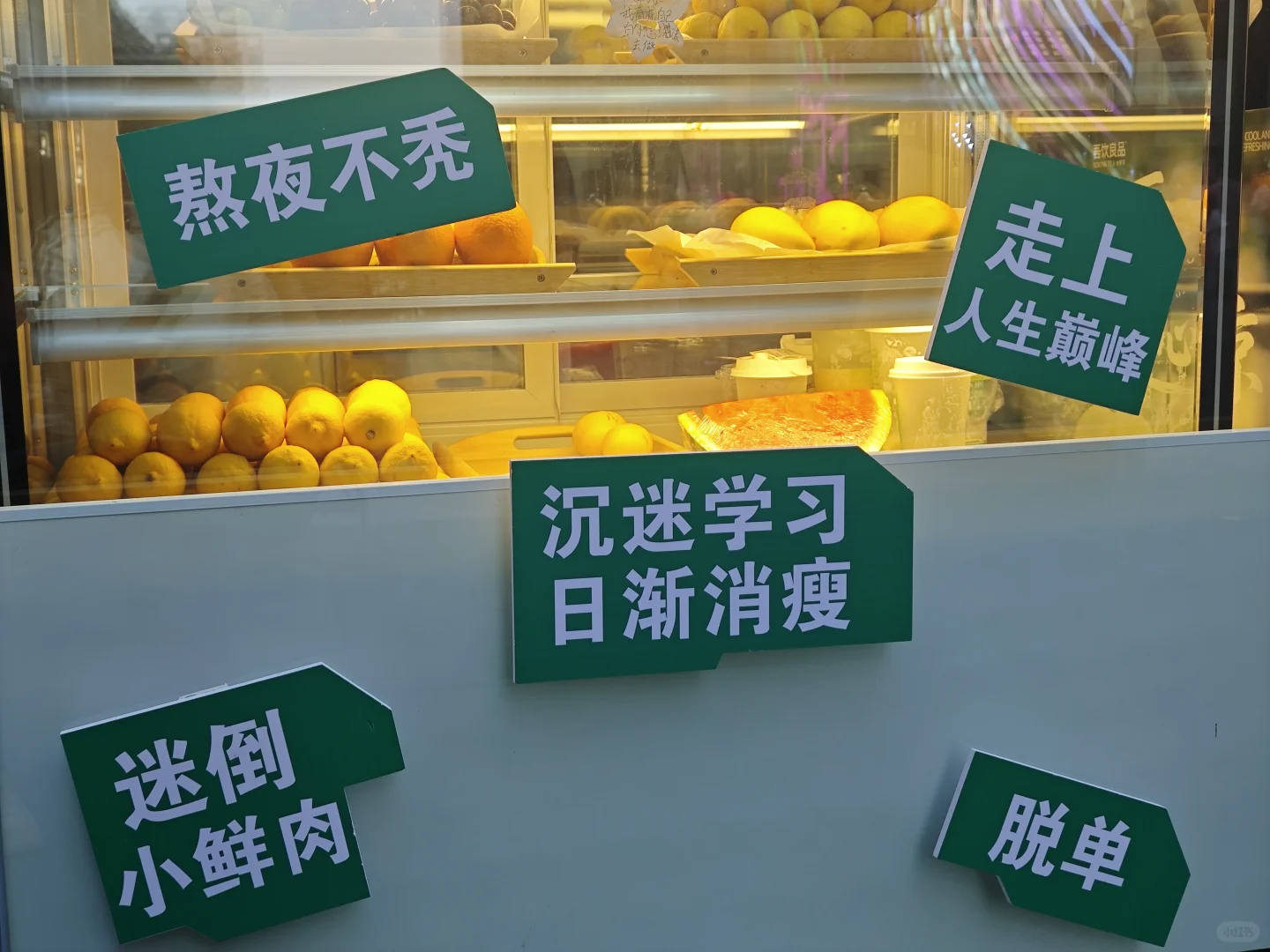 人才引进不落实