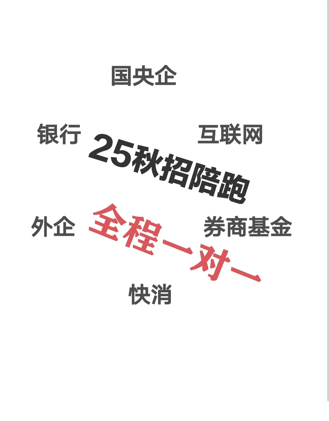 秋招求职指导、陪跑