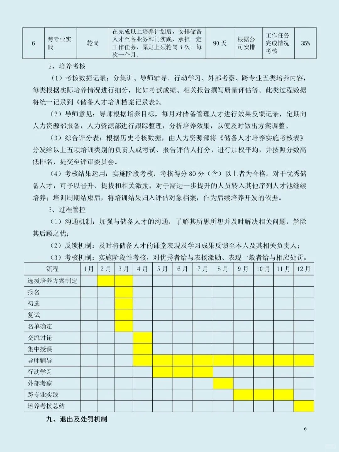 储备人才选拔及培养方案,doc