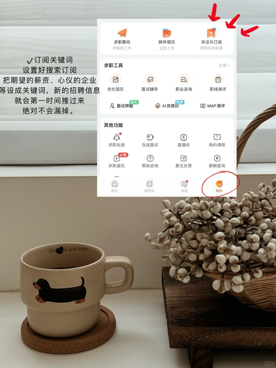 国企三年，勤耕不辍，愿你我皆前程无忧