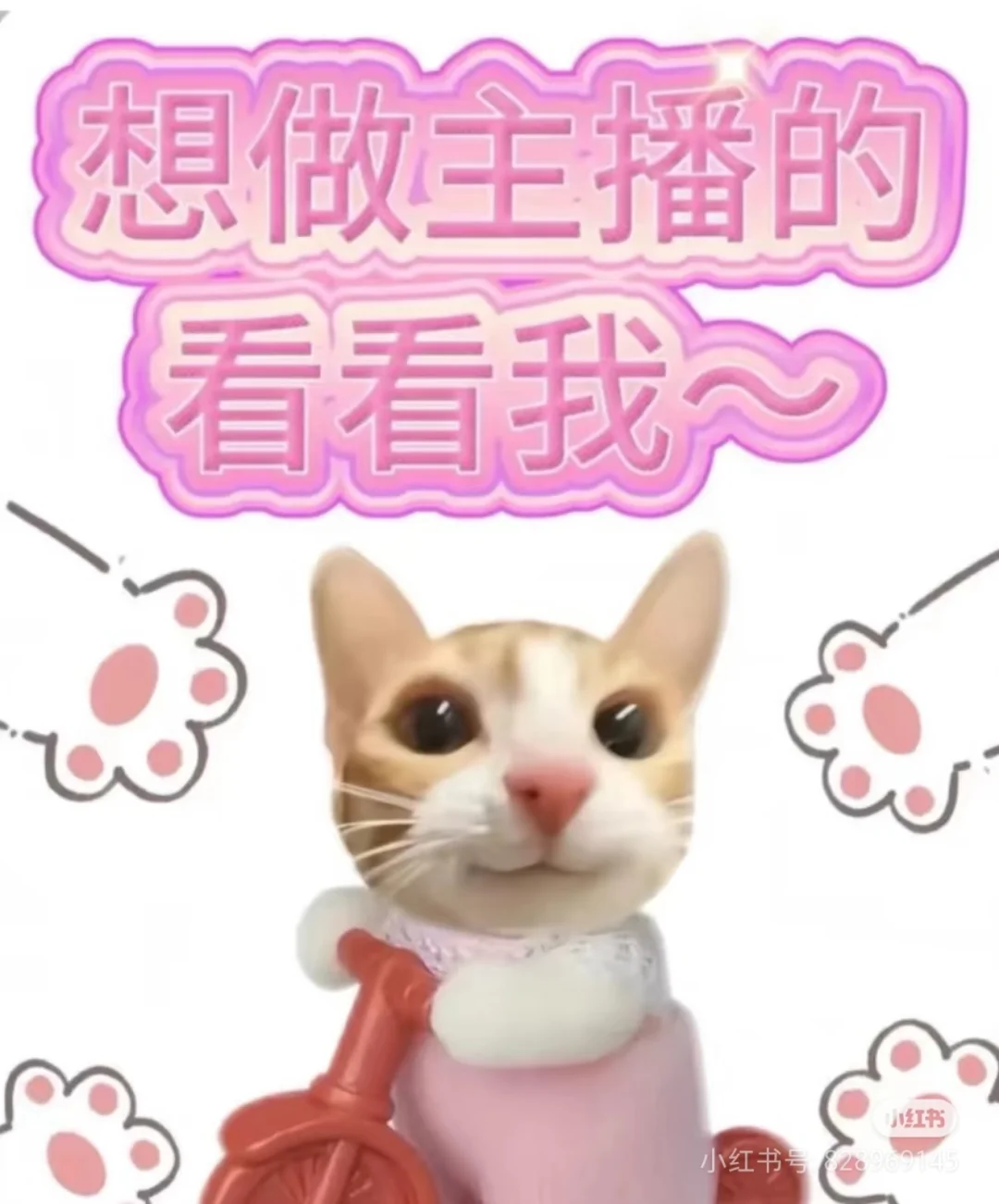宝宝看过来