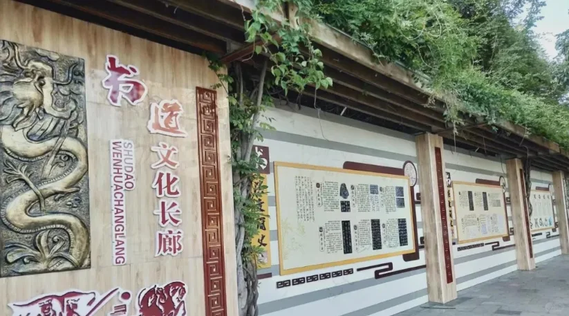 石狮市招聘，市聘小学教师，有美术岗！