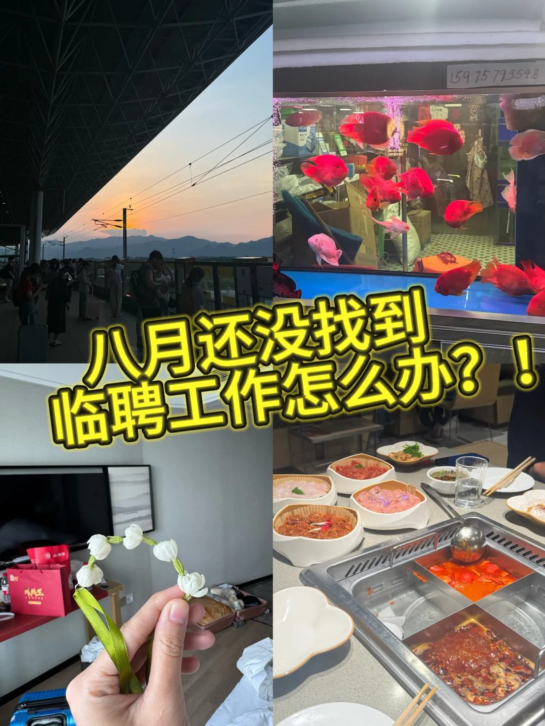 八月还没找到临聘工作怎么办？！