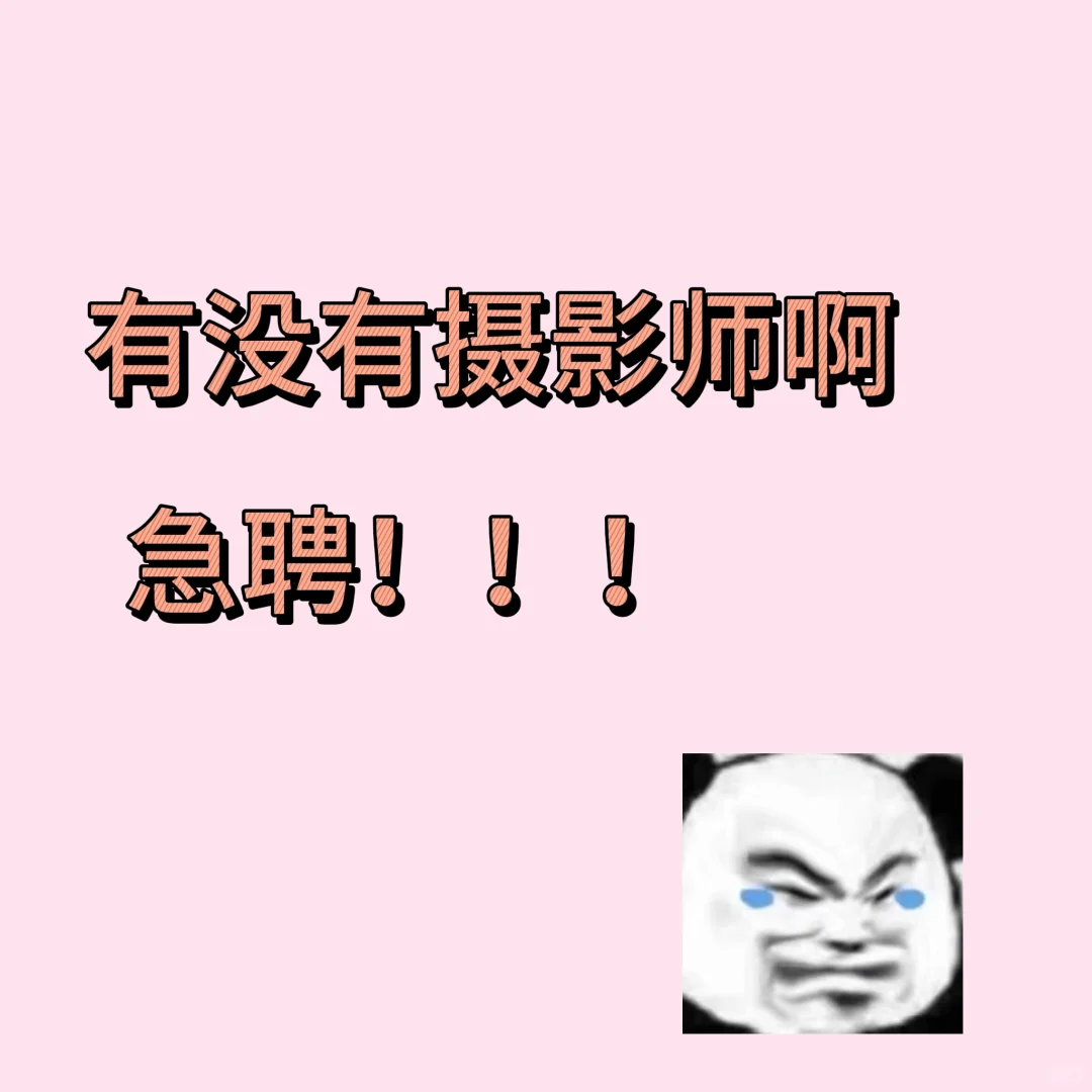 请摄影的看过来！急聘！