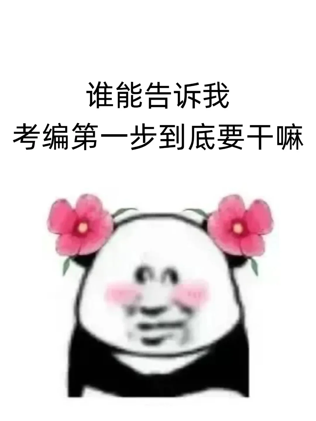 老天奶，谁能告诉我考编第一步到底要干嘛？