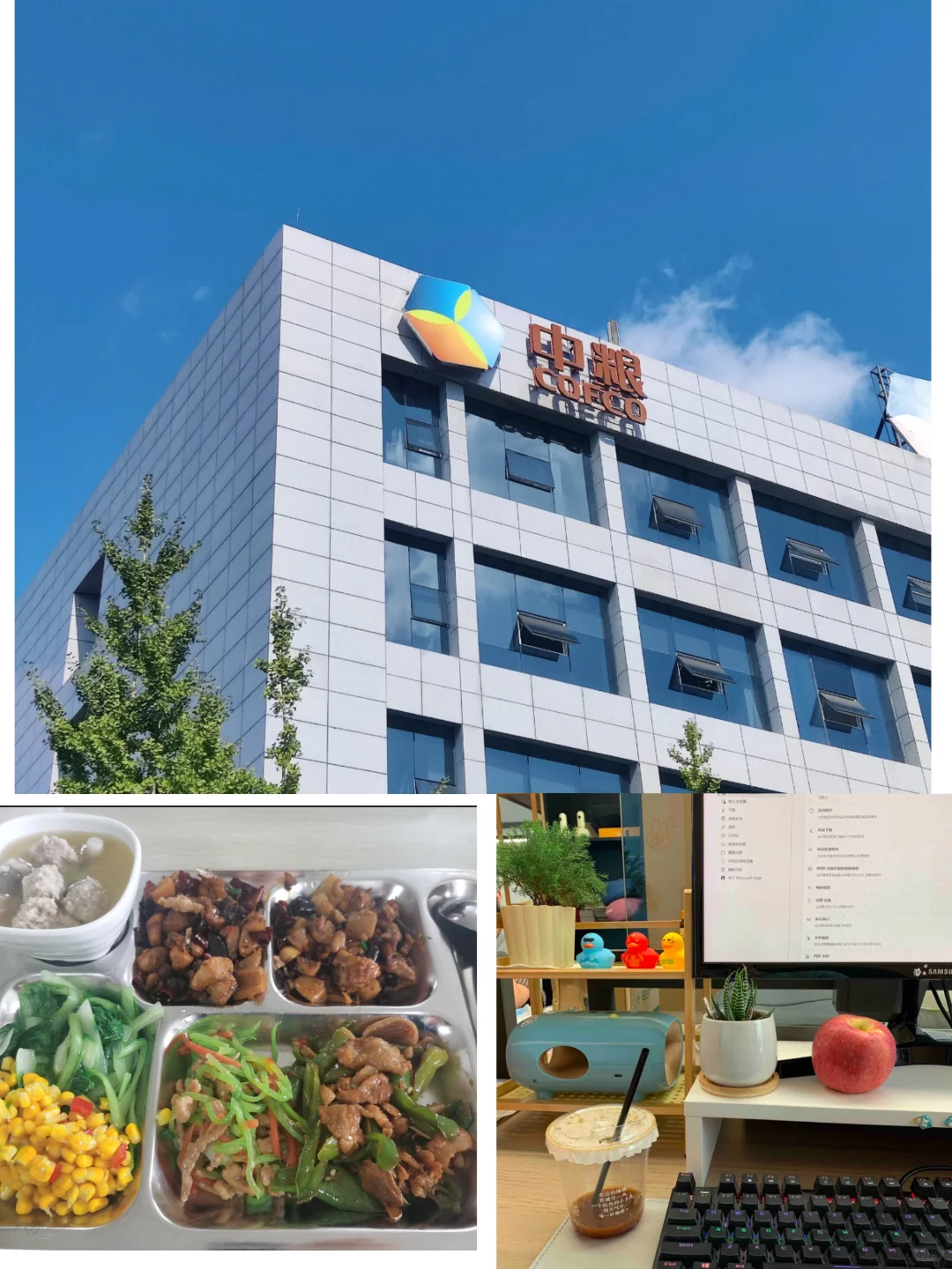 普通二本女勇闯国企