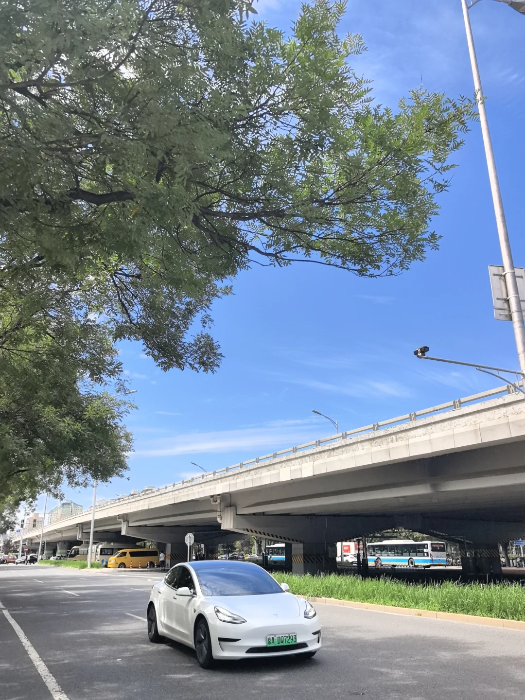 急招～给自己找继任