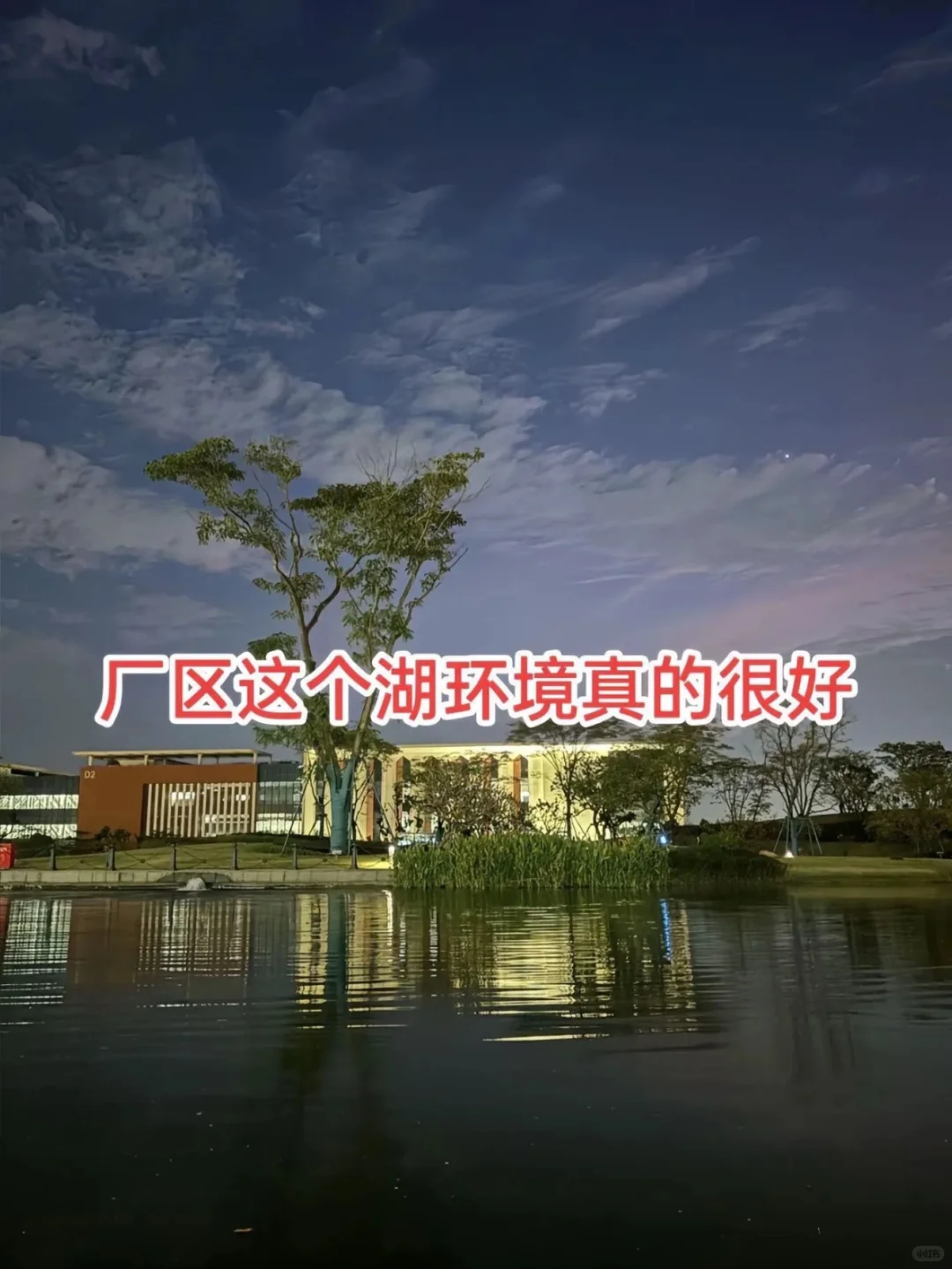 听说最近要开招了