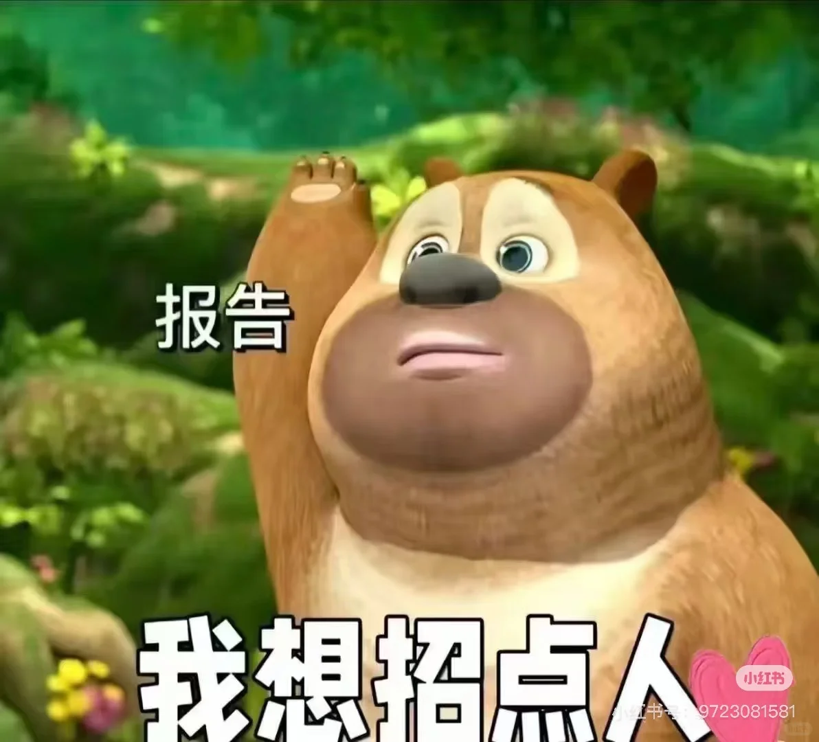 公司内部直招 我想要招人！！！