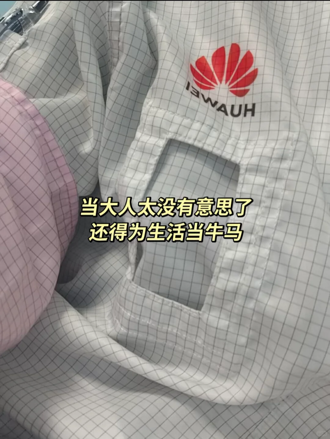华为招人啦！！！