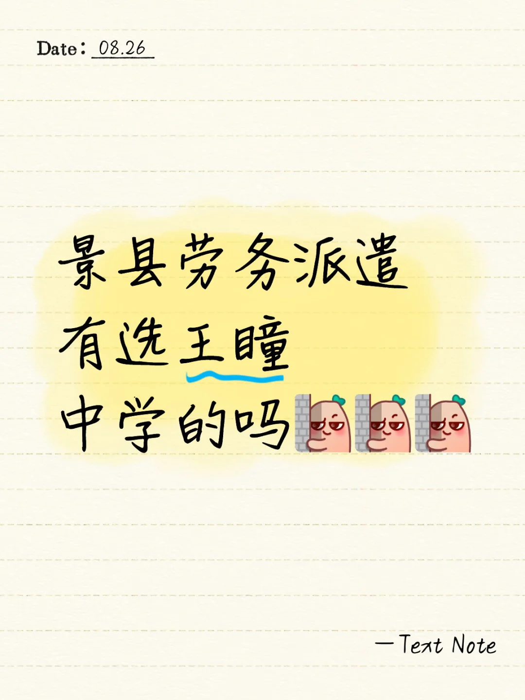 有一样选王瞳中学的吗