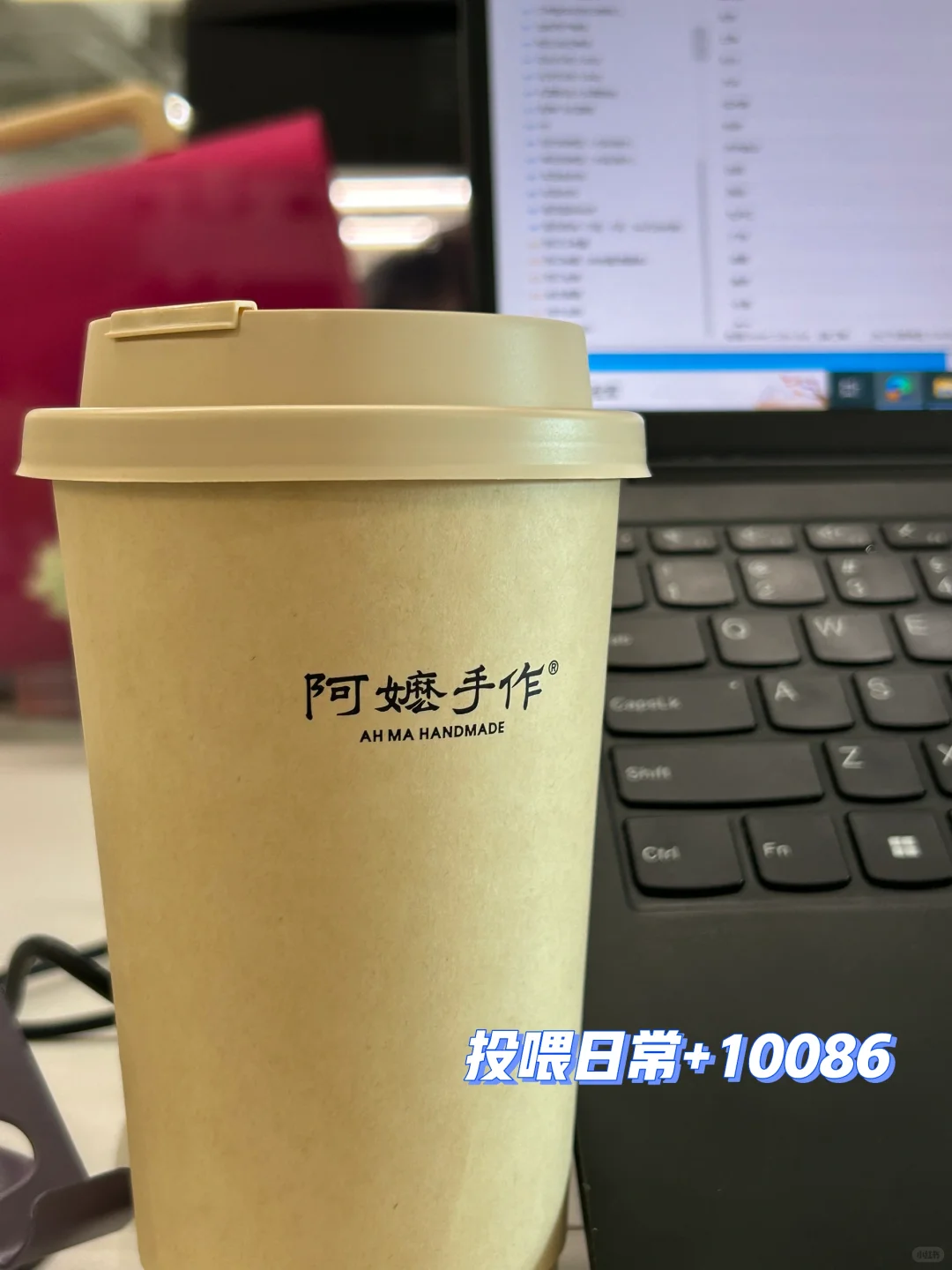 秋招暂停⏸️豚厂打工开始🐬
