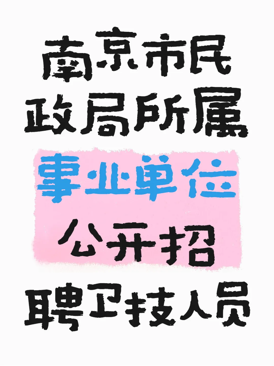 南京市民政局所属事业单位公开招聘卫技人员