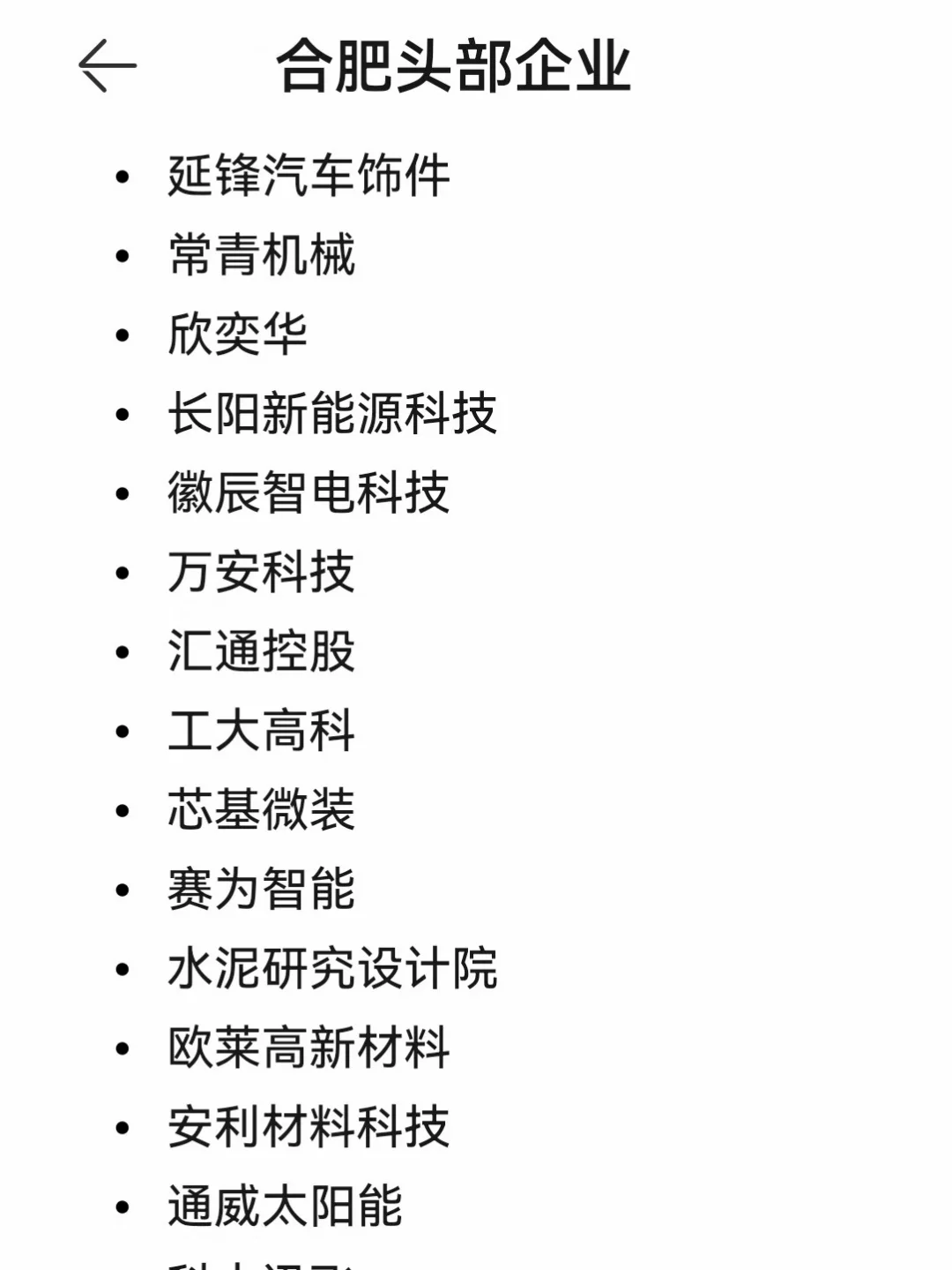 合肥头部企业！
