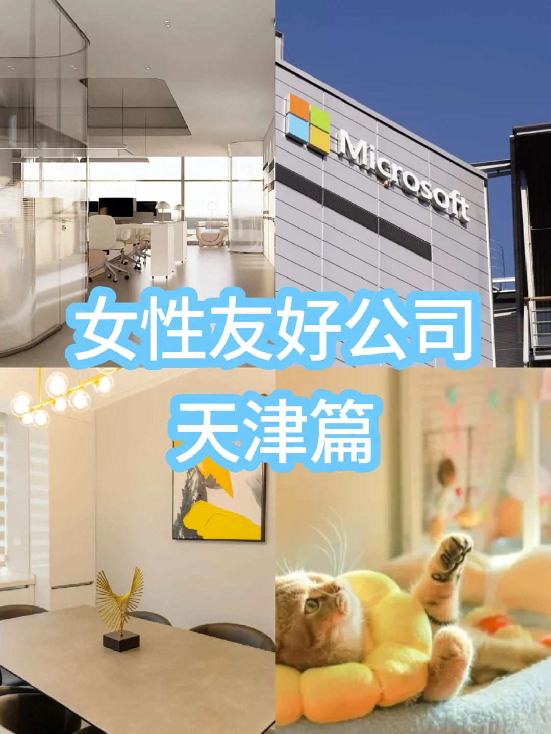 天津女性友好公司大盘点