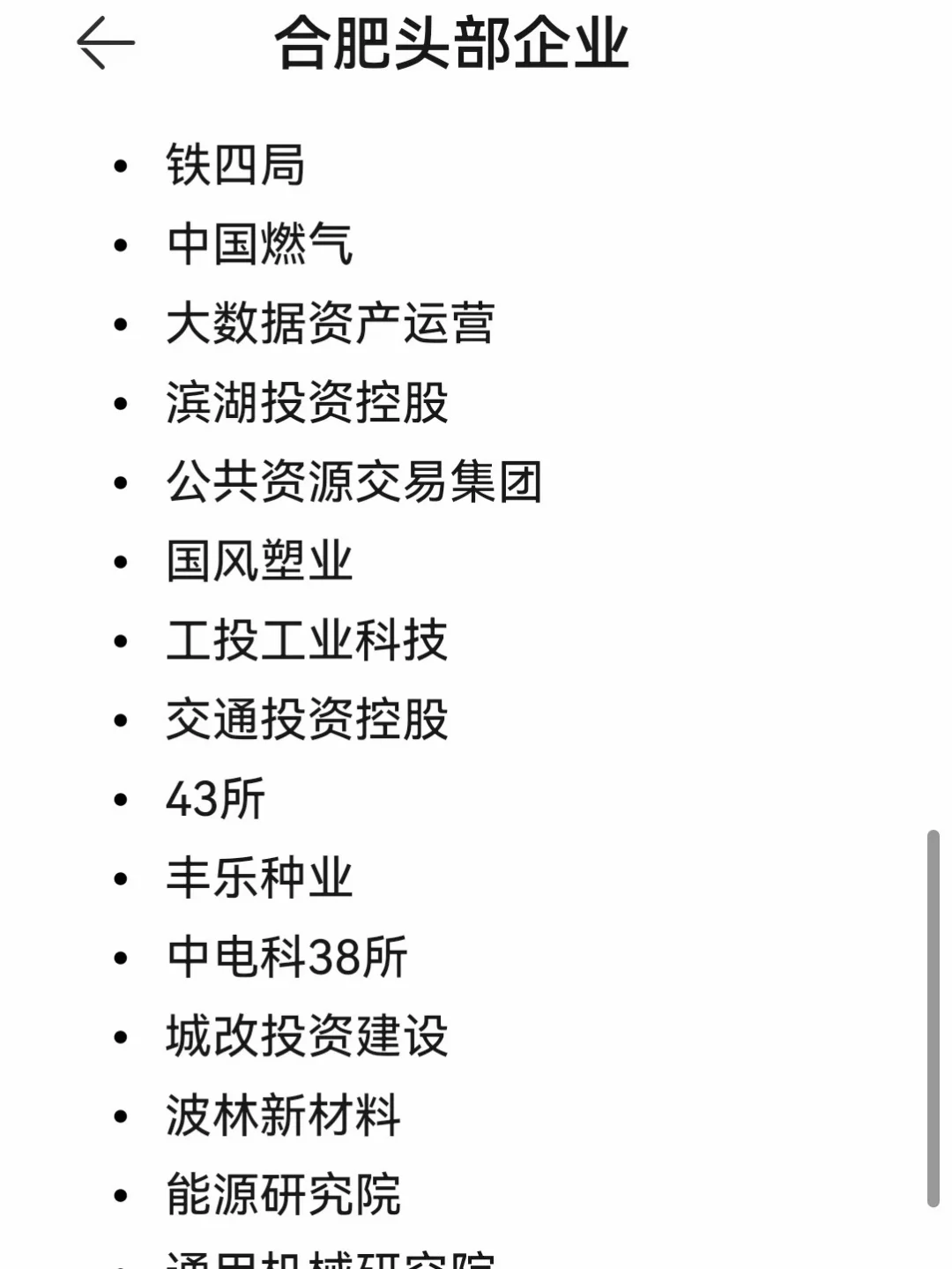 合肥头部企业！