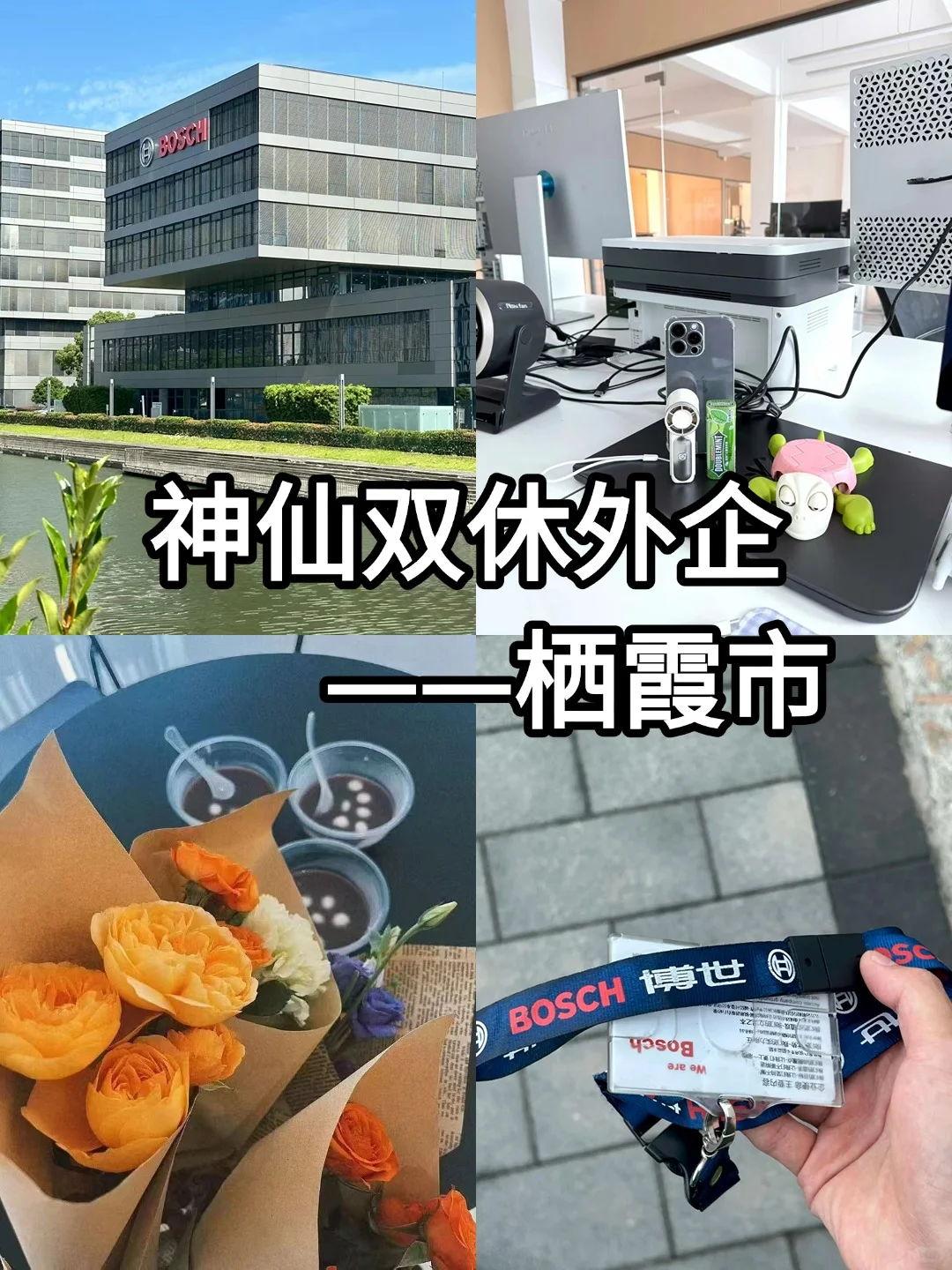 神仙双休外企——栖霞市