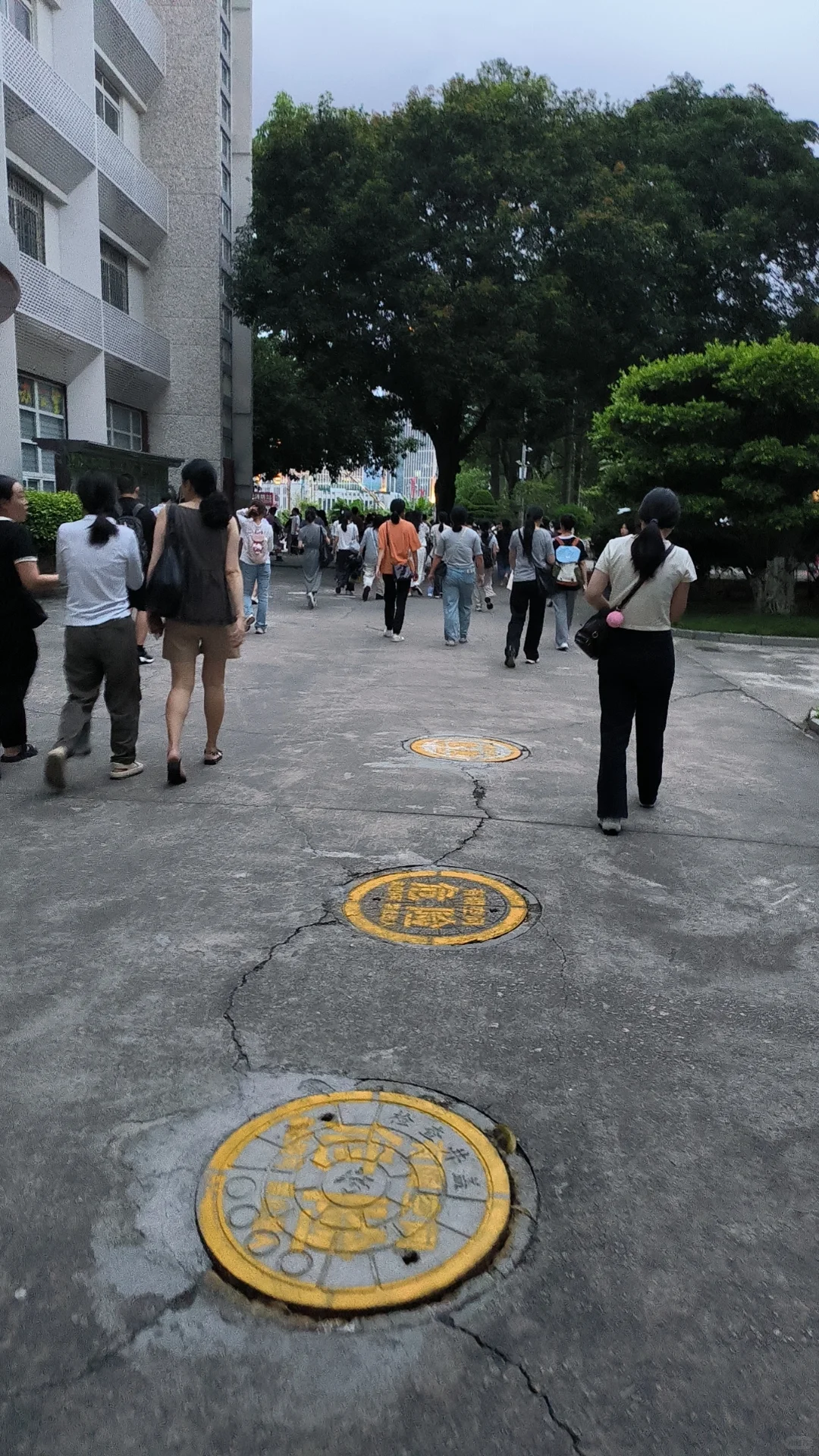 今天抽了一张体验卡