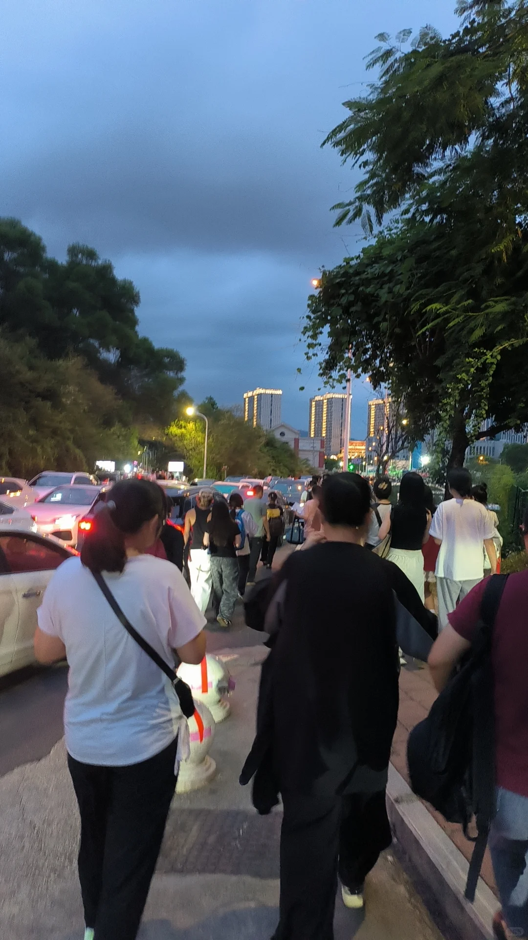 今天抽了一张体验卡