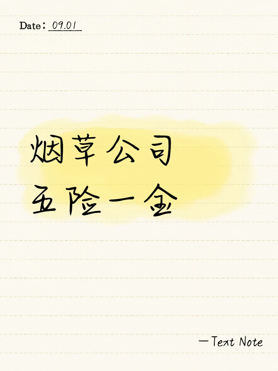 大专以上学历五险一金待遇好