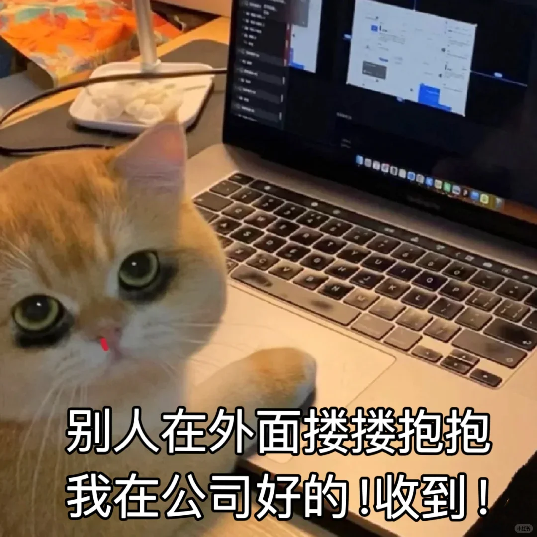 钱....钱辈！请和我交往吧