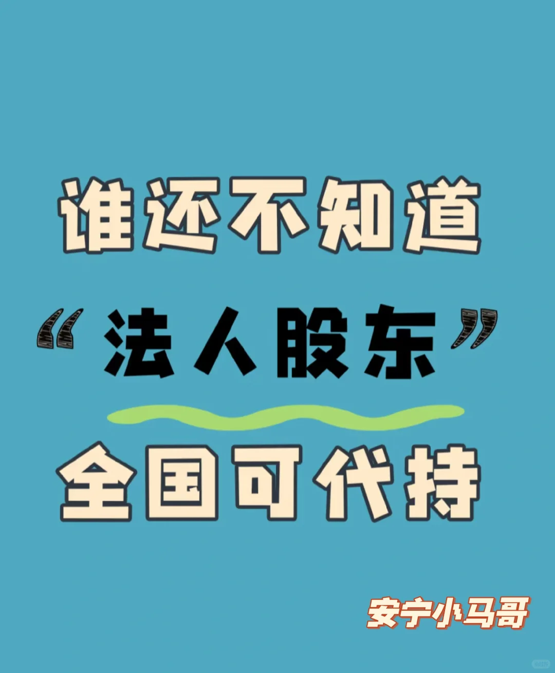 法人股东全国代聘代持！