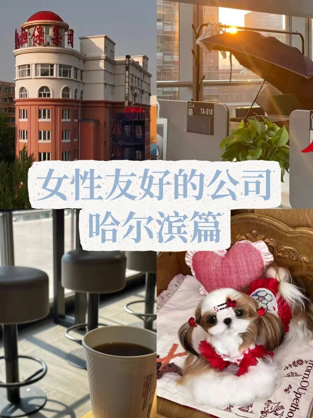 哈尔滨女性友好公司—稳定工作—高福利