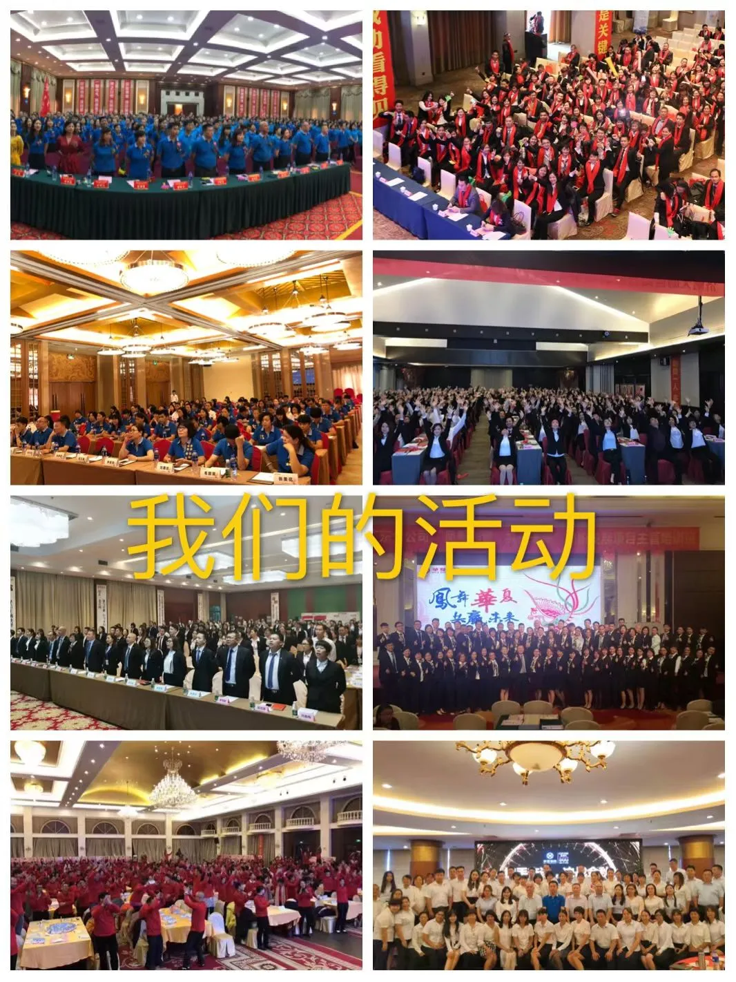 招聘精英人才
