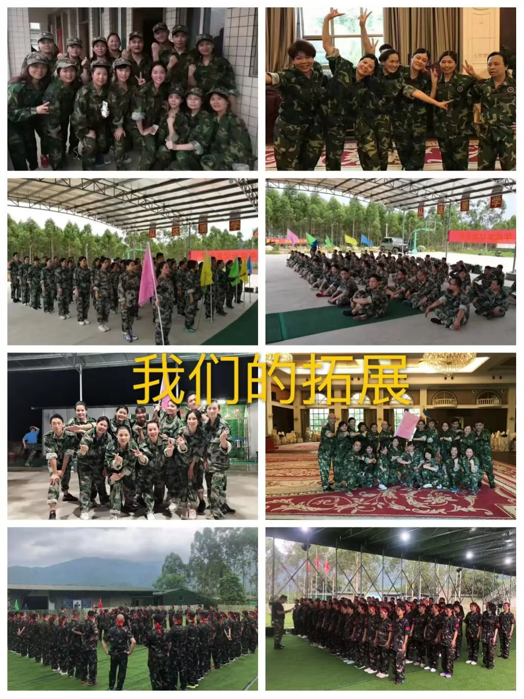 招聘精英人才