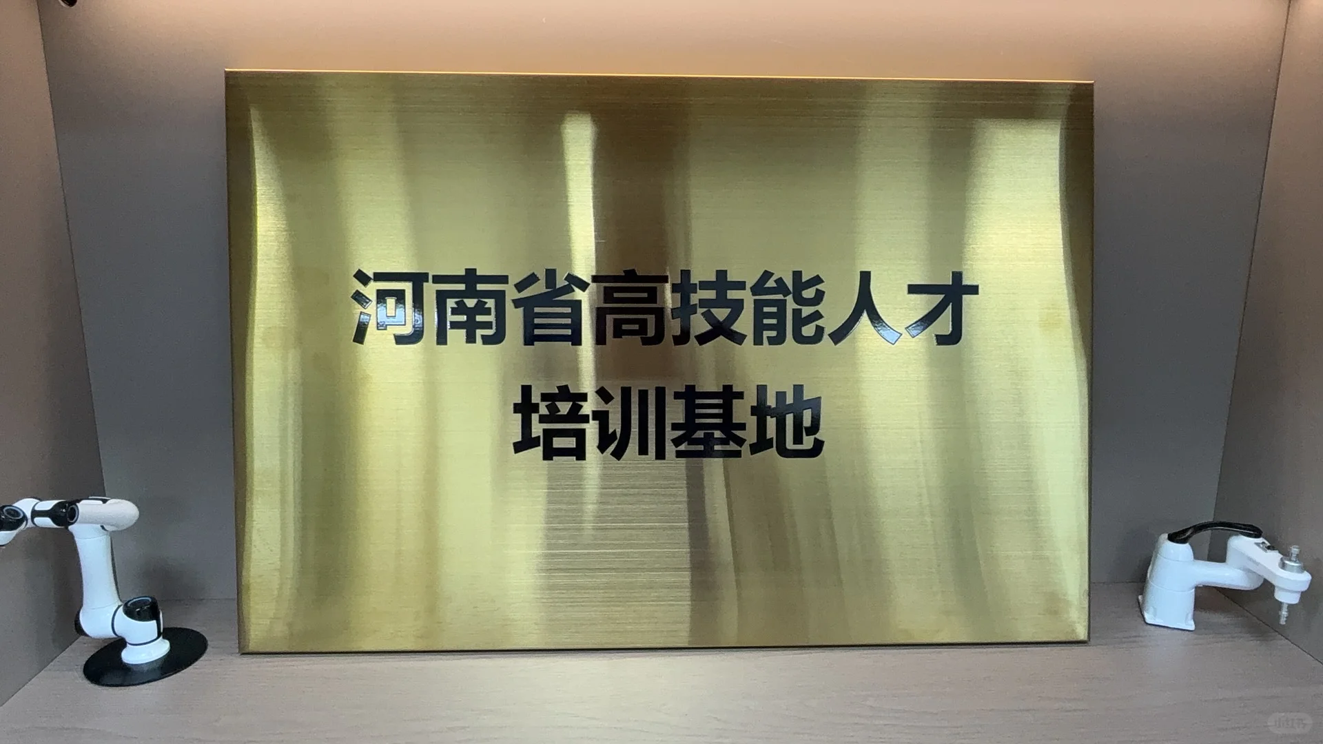 这个项目可以做吗？