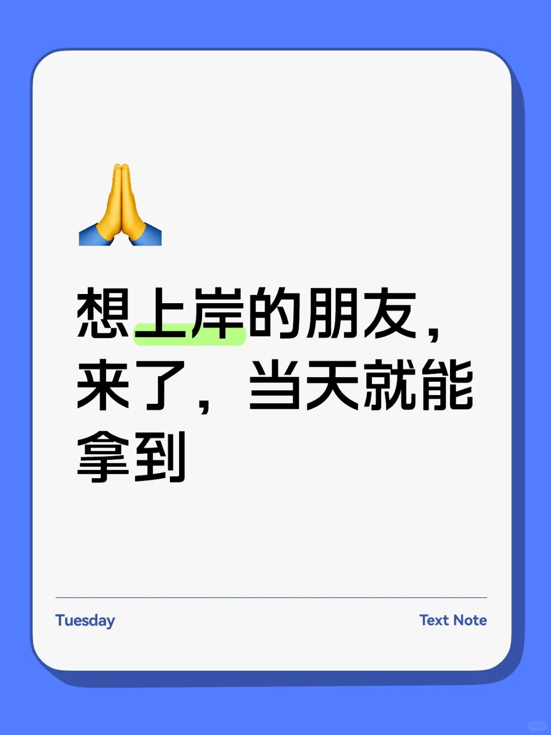 来了我的朋友