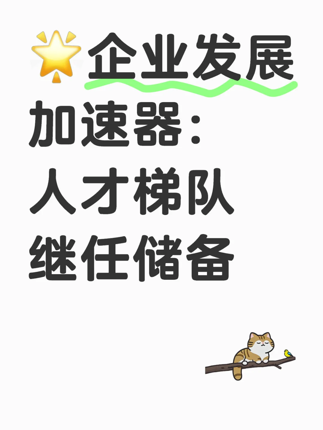 🌟企业发展加速器：人才梯队继任储备