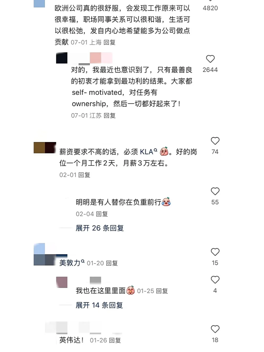 原来这才是留子心目中的神仙外企…
