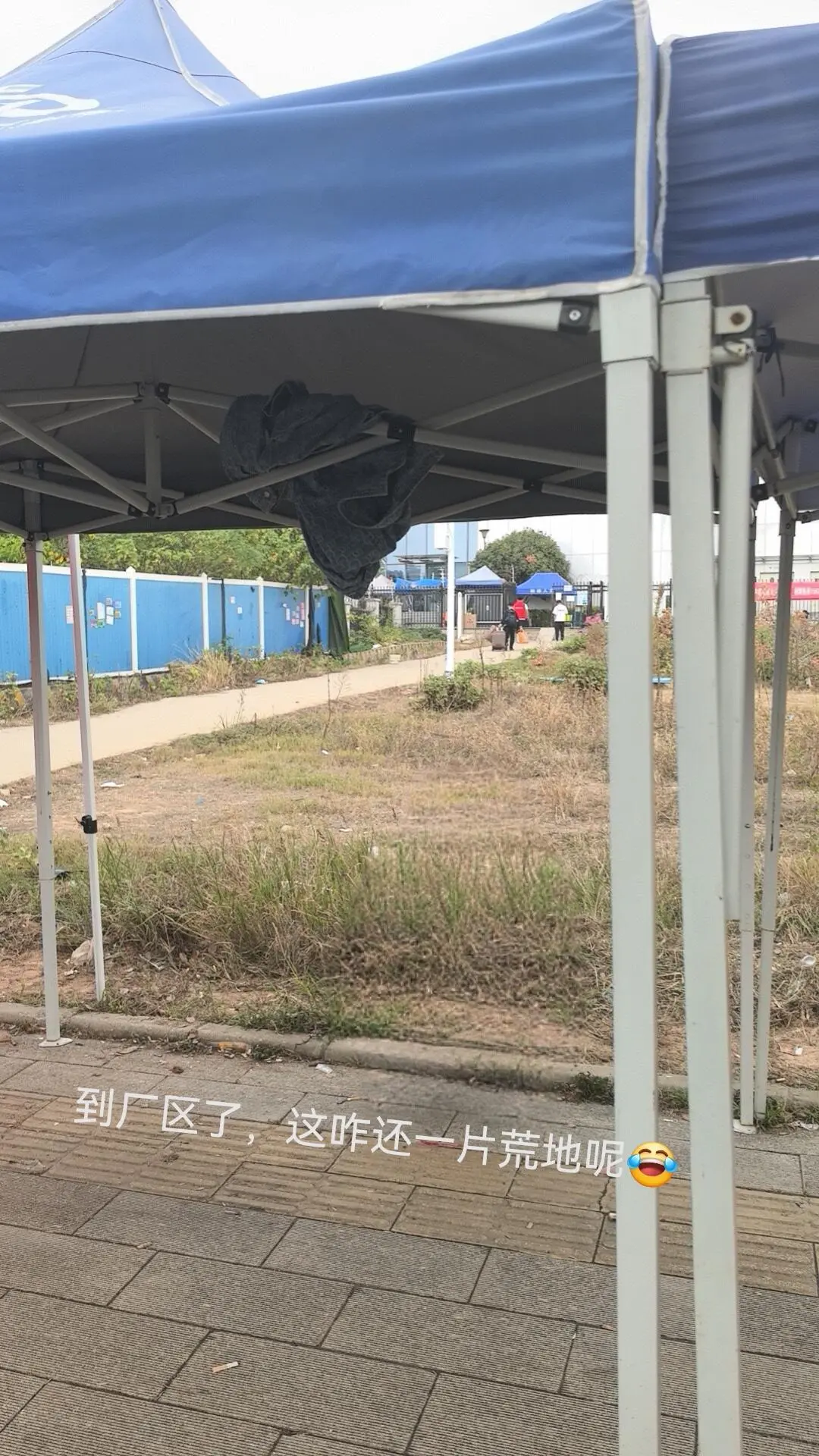 进武汉华星看这一篇就够啦