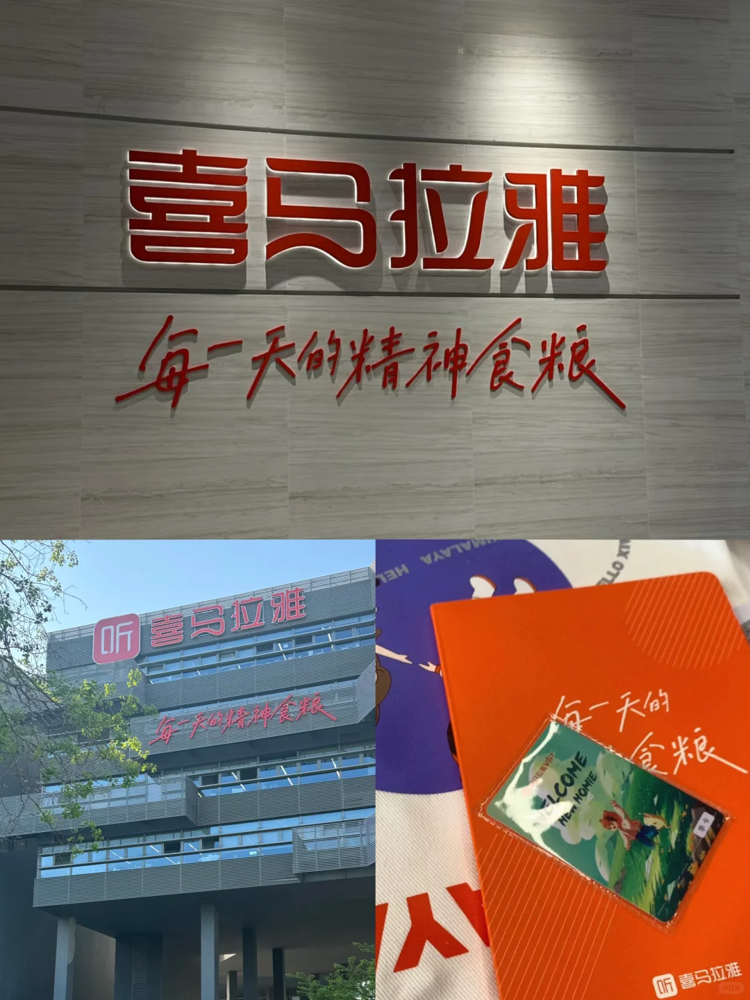 捞捞想来喜马拉雅实习的大学生