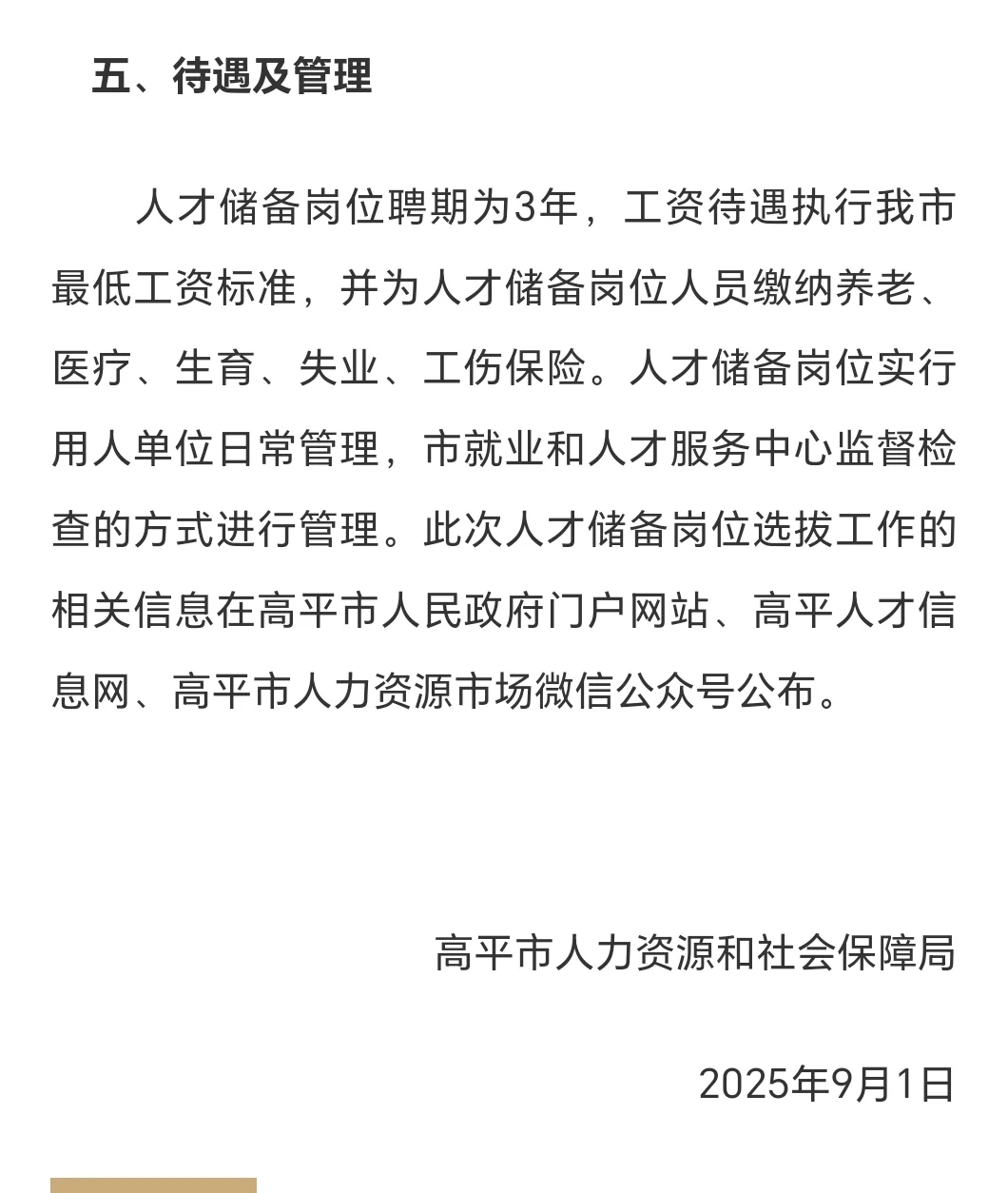 2025高平市人才储备选拔通告