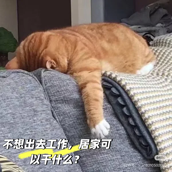 不想出去工作可以看看这个