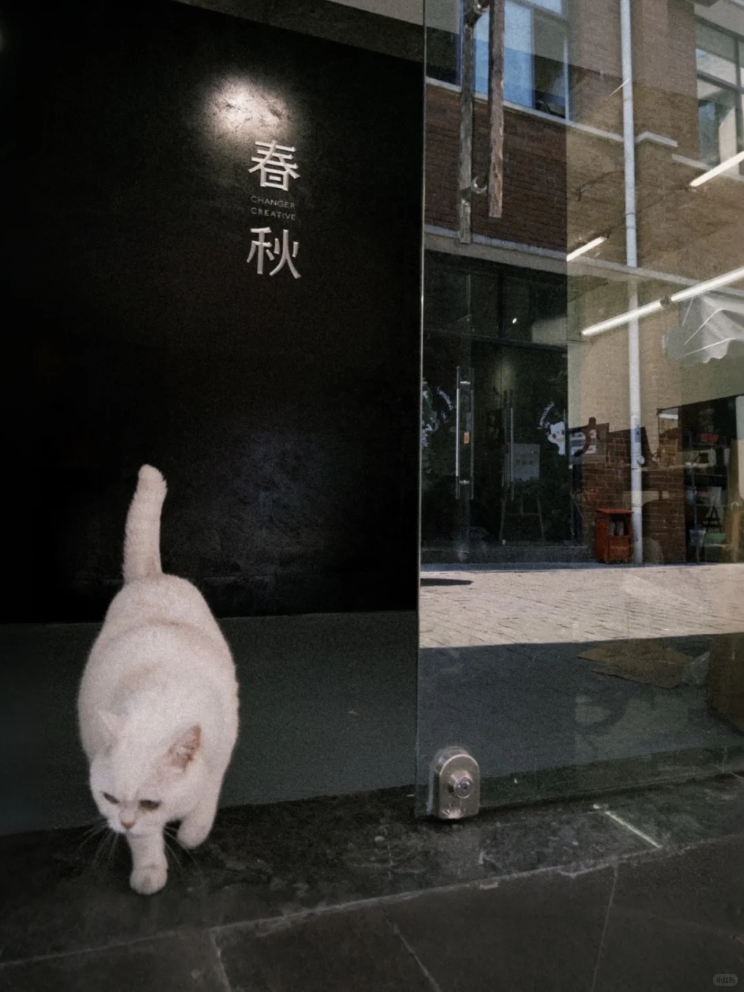 杭州广告公司招很多人🫶🏻