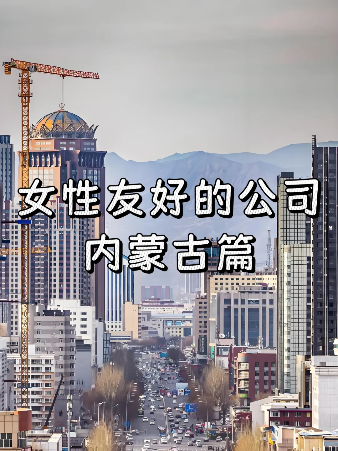 女性友好的公司：内蒙古篇