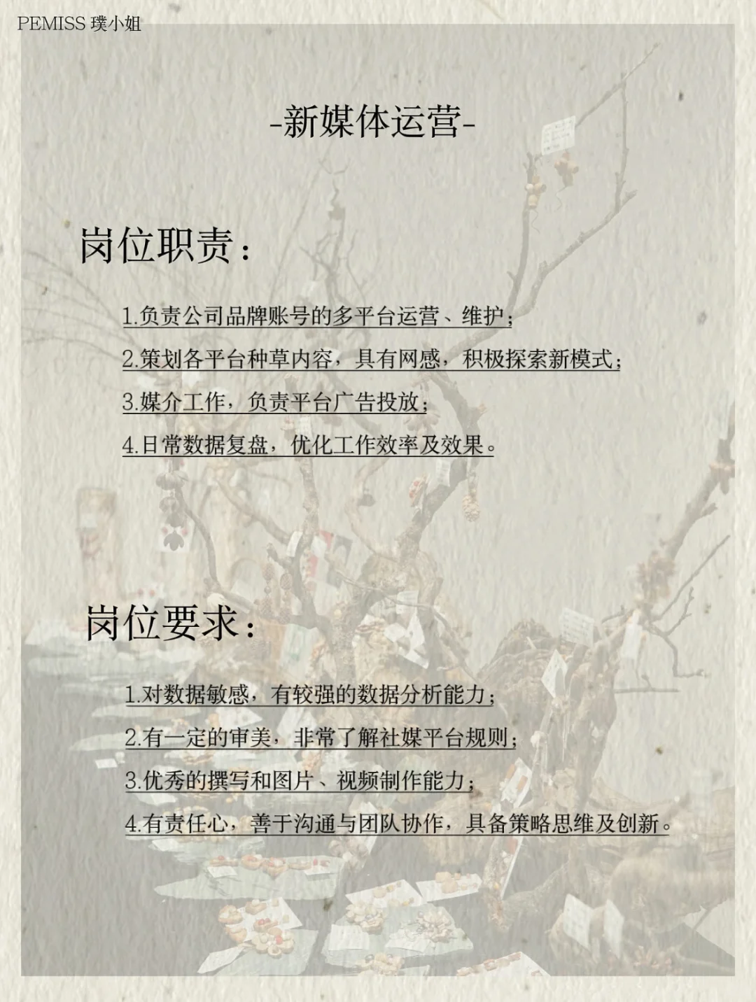 ✨招运营～听说小红书招人很快