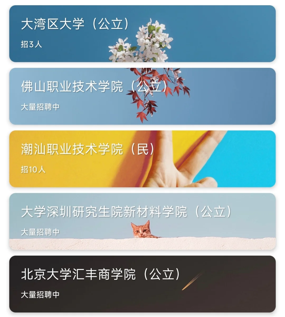 下半年高校招聘开启，岗位爆发，硕士可进