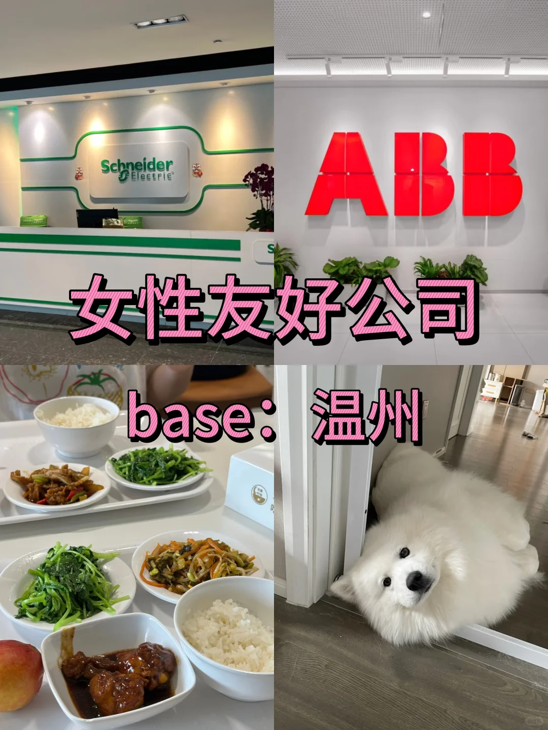 女性友好公司：温州篇