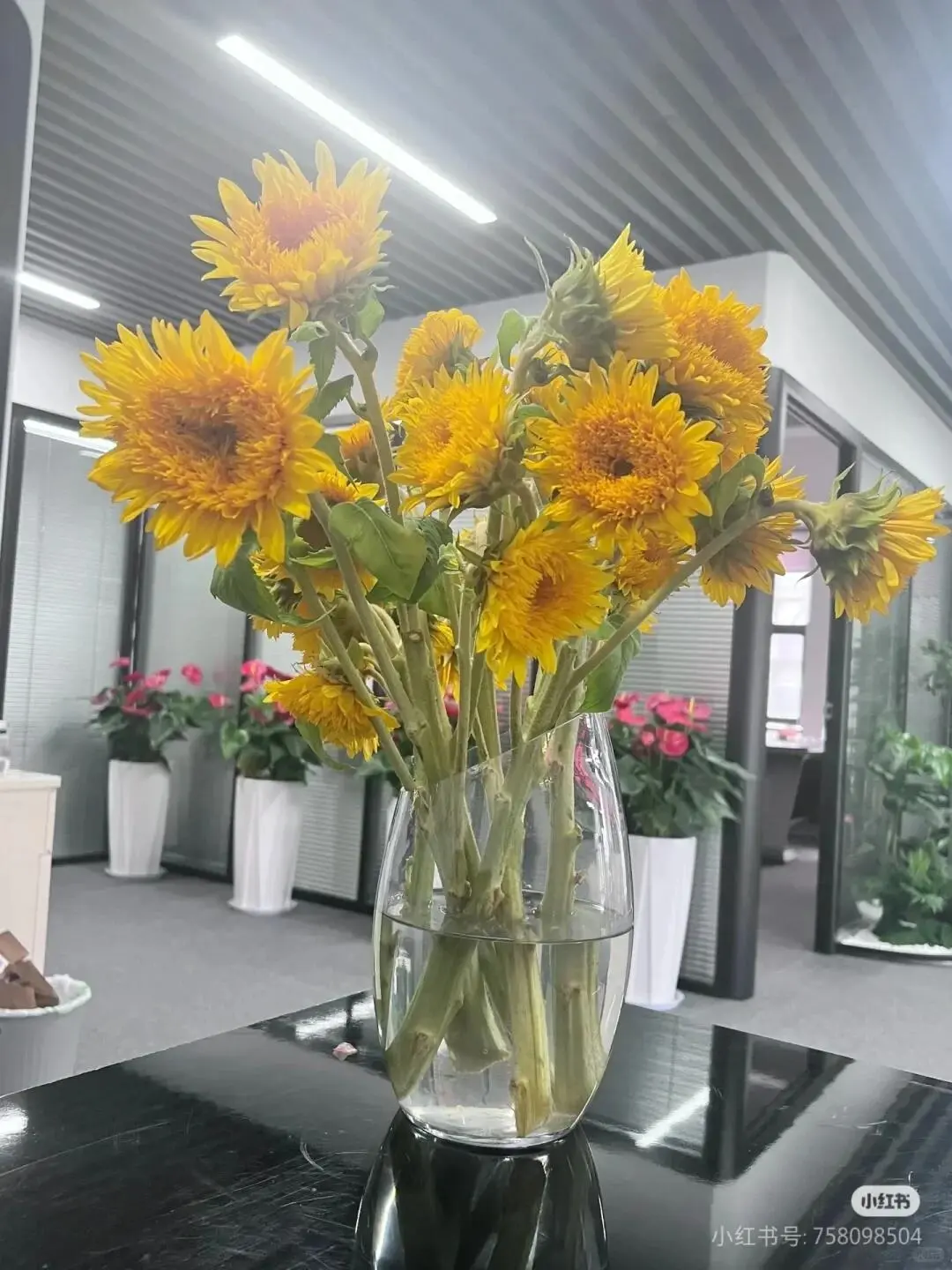 终于找到5000左右的工作了，还有4个位置