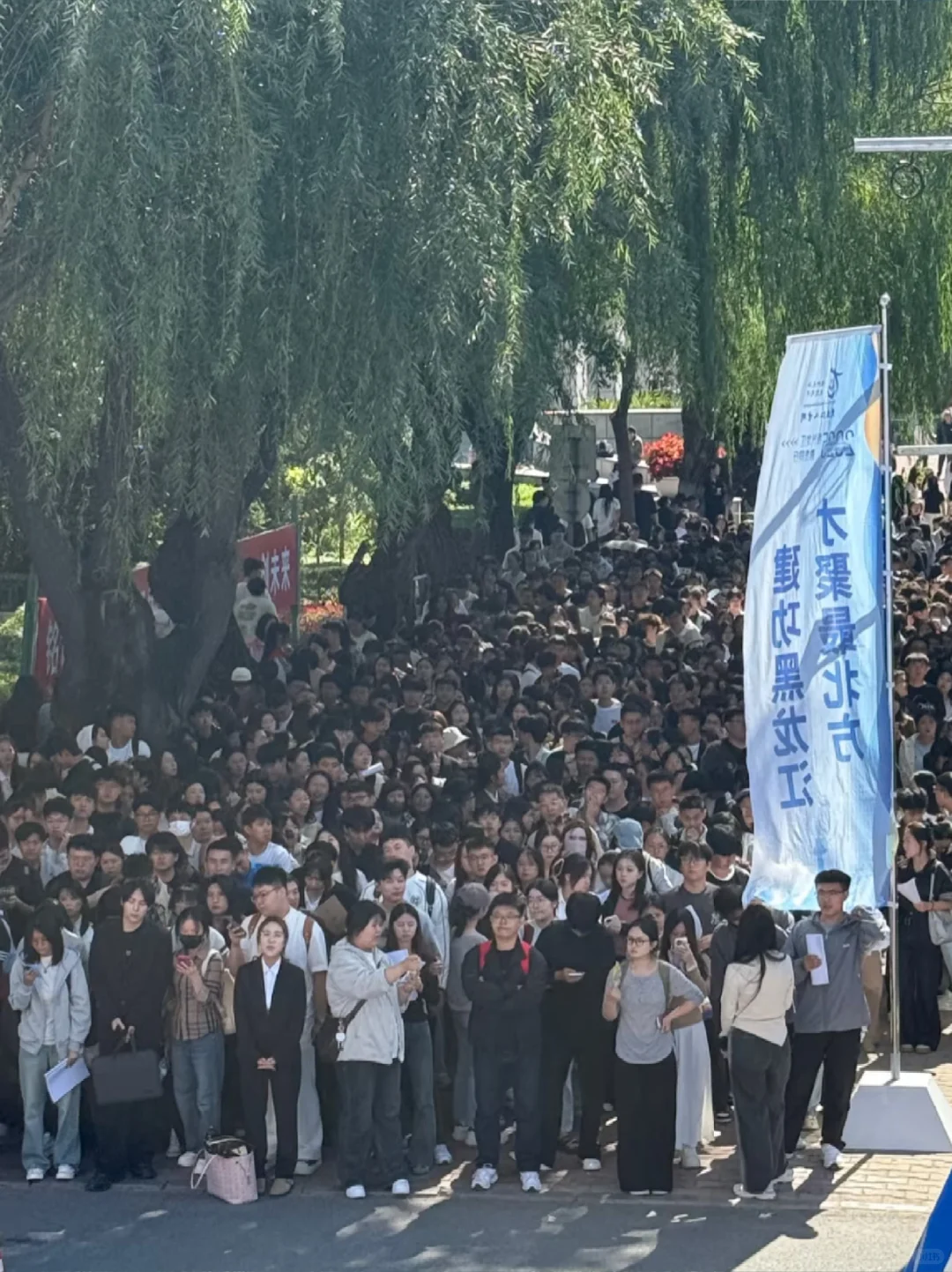 黑龙江大学线下招聘